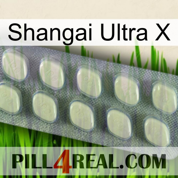 Shangai Ultra X 08.jpg